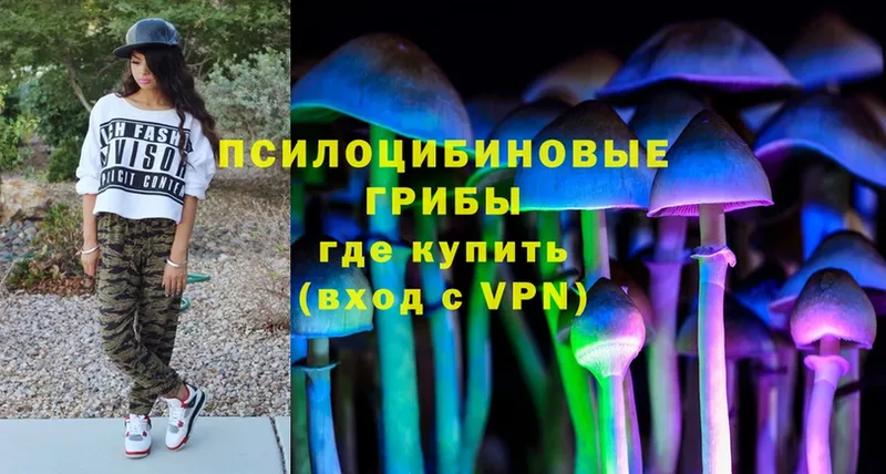 Псилоцибиновые грибы Psilocybe  Нягань 